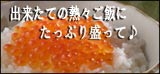 いくら醤油漬け 北海道産 函館海鮮市場 噴火湾
