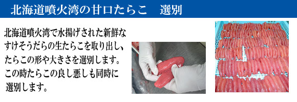 �̳�ƻ�������餳