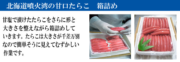 �̳�ƻ�������餳